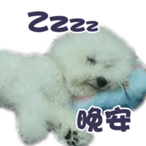 I Love Bichon Frise sticker #14925518
