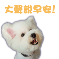 I Love Bichon Frise sticker #14925520