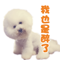 I Love Bichon Frise sticker #14925521