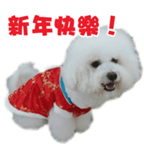 I Love Bichon Frise sticker #14925523