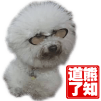 I Love Bichon Frise sticker #14925524