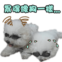 I Love Bichon Frise sticker #14925526