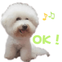 I Love Bichon Frise sticker #14925528