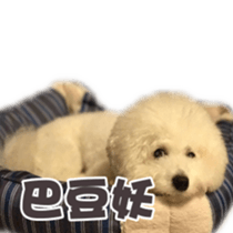 I Love Bichon Frise sticker #14925530