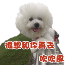 I Love Bichon Frise sticker #14925531