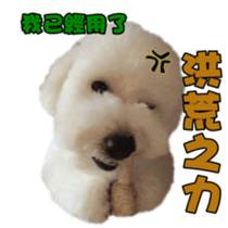 I Love Bichon Frise sticker #14925540