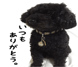 king DOG sticker #14925646