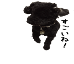 king DOG sticker #14925647