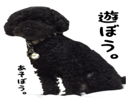 king DOG sticker #14925649