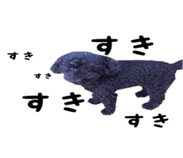 king DOG sticker #14925650