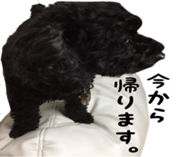 king DOG sticker #14925652