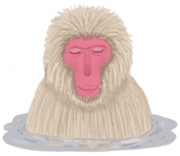 Welcome to the Zoo (Eng ver.) sticker #14925780