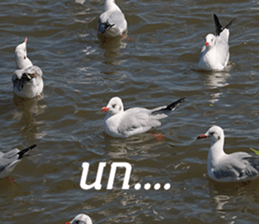 Bird all days sticker #14927215