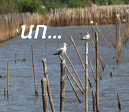 Bird all days sticker #14927216