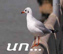 Bird all days sticker #14927218