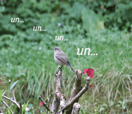 Bird all days sticker #14927219