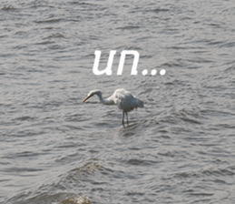 Bird all days sticker #14927220