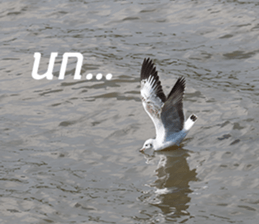 Bird all days sticker #14927221