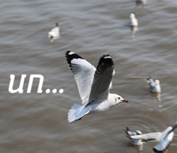 Bird all days sticker #14927222