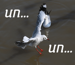 Bird all days sticker #14927223