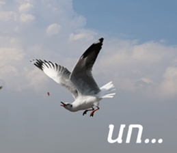 Bird all days sticker #14927224