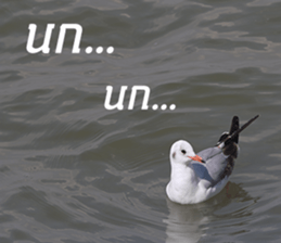 Bird all days sticker #14927225