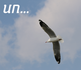 Bird all days sticker #14927226