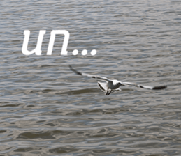 Bird all days sticker #14927228