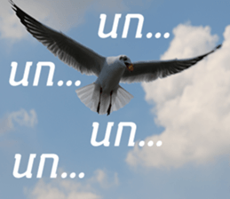 Bird all days sticker #14927229