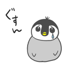 Penguin pentaso sticker #14931865