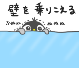 Penguin pentaso sticker #14931873