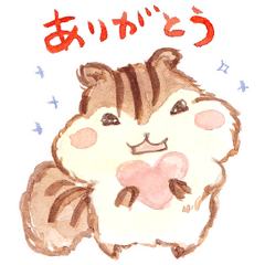 KIRARIS the chipmunk!