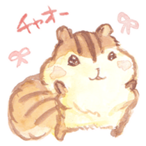 KIRARIS the chipmunk! sticker #14934310