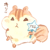 KIRARIS the chipmunk! sticker #14934314