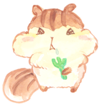 KIRARIS the chipmunk! sticker #14934330