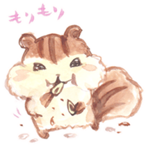 KIRARIS the chipmunk! sticker #14934336