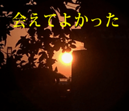 Feeling of the photograph sticker #14934562