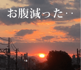 Feeling of the photograph sticker #14934564