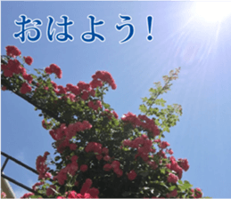 Feeling of the photograph sticker #14934580