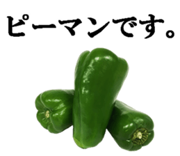 Green pepper4. sticker #14934758