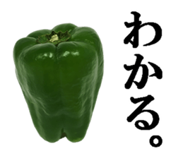 Green pepper4. sticker #14934762