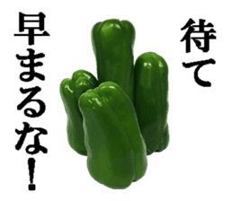 Green pepper4. sticker #14934770