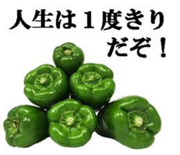 Green pepper4. sticker #14934771