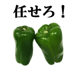Green pepper4. sticker #14934778