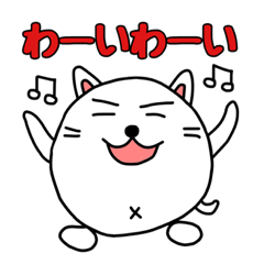 Shikamarukun of a cat