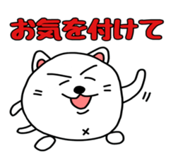Shikamarukun of a cat 2 sticker #14935800