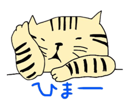 ginger cat sticker #14936551