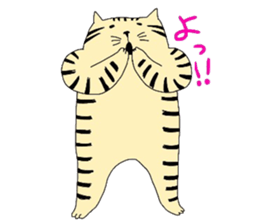 ginger cat sticker #14936566