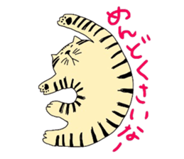 ginger cat sticker #14936585