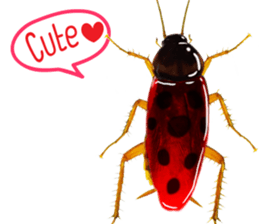 Cockroach In Love sticker #14936758
